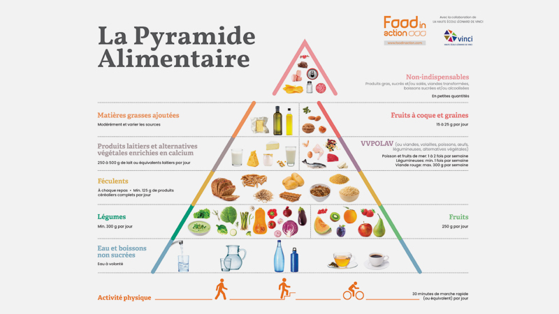 nouvelle pyramide alimentaire